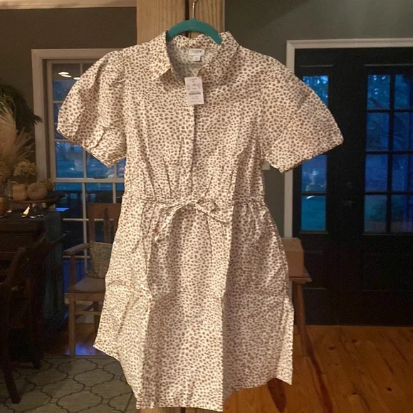 Cute J. Crew mini dress - new with tags size 8P - Picture 3 of 6